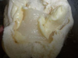 「岡野食品 豆乳クリームパン 求肥餅入り 袋1個」のクチコミ画像 by きなこさん