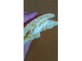 「ロバパン ふんわりもちもちパンケーキ クリームチーズ 袋2個」のクチコミ画像 by るーしーさん