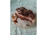 「ミニストップ MINISTOP CAFE 4層仕立ての生チョコレートケーキ」のクチコミ画像 by レビュアーさん