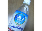 「アサヒ おいしい水 カルピスの乳酸菌スパークリング ペット500ml」のクチコミ画像 by さばみそさん