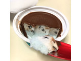 「明治 Sweets氷 ショコラミント」のクチコミ画像 by fish moonさん