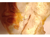 「第一パン 3種のチーズパン 袋1個」のクチコミ画像 by レビュアーさん