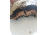 「セブン-イレブン もっちりチョコパンケーキどら」のクチコミ画像 by レビュアーさん