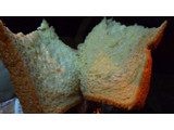 「ローソン 4種のチーズトースト ブラン入り食パン使用」のクチコミ画像 by レビュアーさん