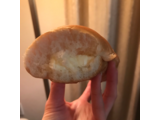「ヤマザキ 濃厚ミルククリームパン 袋1個」のクチコミ画像 by ぺてぃおU・x・Uさん