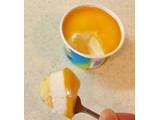 「ハーゲンダッツ ミニカップ マンゴープリン ココナッツミルク仕立て カップ99ml」のクチコミ画像 by ビーピィさん