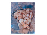 「菊屋 CaramelPopcorn 袋50g」のクチコミ画像 by レビュアーさん