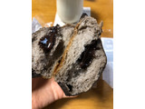 「第一パン 濃厚ショコラ 袋1個」のクチコミ画像 by ひじきーなさん