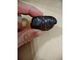「日本珈琲貿易 チョコレートデーツ アーモンド入り ダーク 袋100g」のクチコミ画像 by まめぱんださん