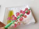 「クラシエ 知育菓子 ふしぎはっけん なるなるグミの実 袋15g」のクチコミ画像 by MAA しばらく不在さん