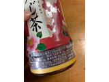 「サントリー 伊右衛門 焙じ茶 ボトル500ml」のクチコミ画像 by 小野ちゃんさん