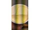 「ハーゲンダッツ ミニカップ ゆずのブランマンジェ カップ110ml」のクチコミ画像 by 高野アイスさん