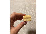 「ブルボン ミニベイクドチーズケーキ 袋120g」のクチコミ画像 by モニャモニャさん