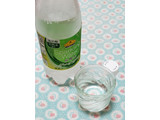 「トップバリュ ベストプライス 炭酸水 グレープフルーツ ペット500ml」のクチコミ画像 by みにぃ321321さん