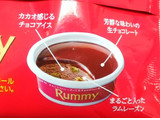 「ロッテ ラミーチョコアイス 袋100ml」のクチコミ画像 by mii_aさん