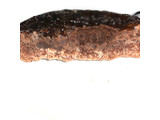 「Pasco ベルギーチョコタルト 袋1個」のクチコミ画像 by 炭水化物の佐内さん