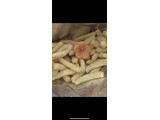 「カルビー かっぱえびせん 紀州の完熟梅味 袋70g」のクチコミ画像 by SweetSilさん