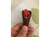 「オードリー グレイシア チョコレート」のクチコミ画像 by みもとさん