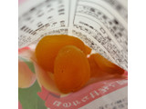 「TOMOGUCHI 太陽の恵みドライフルーツ ドライアプリコット」のクチコミ画像 by レビュアーさん