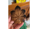 寿製菓 広島もみじの実食写真（gologoloさん）