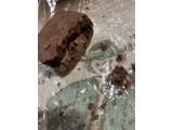 「アンティーク 世にもおいしい割れチョコブラウニー 140g」のクチコミ画像 by gologoloさん