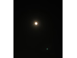 「ロッテ 雪見だいふく 秋限定お月見仕立て カップ47ml×2」のクチコミ画像 by はるなつひさん