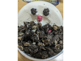 「カルビー フルグラ ブラックサンダー味 袋600g」のクチコミ画像 by ゅぃぽんさん