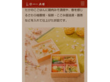 「日本ばし大増 たけのこご飯折詰」のクチコミ画像 by なんやかんやさん