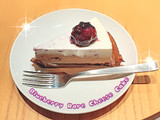 「スターバックス ブルーベリーレアチーズケーキ」のクチコミ画像 by よちえっちさん
