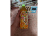 「サンガリア つぶつぶオレンジ ペット500ml」のクチコミ画像 by ハムちゃんハムジさん