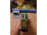 「コカ・コーラ やかんの濃麦茶 from 爽健美茶 ペット600ml」のクチコミ画像 by ハムちゃんハムジさん