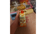「リプトン はちみつ紅茶ラテ 330ml」のクチコミ画像 by ハムちゃんハムジさん