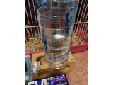 「アサヒ おいしい水 からだ澄む水 無糖レモン 600ml」のクチコミ画像 by ハムちゃんハムジさん