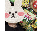 カルビー ポテトチップス サラダ味の実食写真（お菓子毎日食べてますさん）
