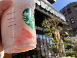 「スターバックス 桜 咲くよ 白桃 フラペチーノ」のクチコミ画像 by こつめかわうそさん