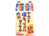 日清ヨーク やみつき塩キャラメルヨークル