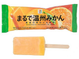 セブン&アイ セブンプレミアム まるで温州みかん