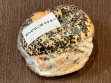 メルチッチ きんぴらごぼうチキンサンド