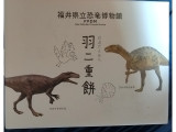福井県立恐竜博物館 オリジナル 羽二重餅