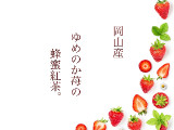 はちみつ茶葉園 ゆめのか苺の蜂蜜紅茶 オリジナルキャニスター缶付