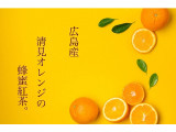 はちみつ茶葉園 清見おれんじの蜂蜜紅茶 オリジナルキャニスター缶付