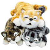 猫の奇妙な冒険