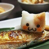 猫の奇妙な冒険