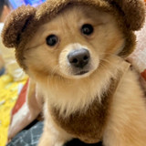 ちゃちゃ0780さん