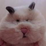 きなこだいふくさん