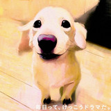 マロンまろんさん