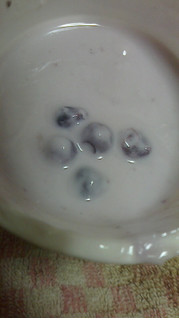 「フロム蔵王 ブルーベリー Yogurt カップ110g」のクチコミ画像 by 高野アイスさん