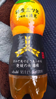 「アサヒ 特産三ツ矢 愛媛県産清見 ペット460ml」のクチコミ画像 by ﾙｰｷｰｽﾞさん