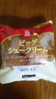 「アンデイコ ビッグシュークリーム 袋1個」のクチコミ画像 by アイキさん