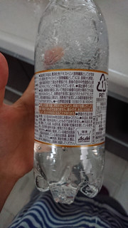 「アサヒ ウィルキンソン タンサン エクストラ ペット490ml」のクチコミ画像 by ぴのこっここさん